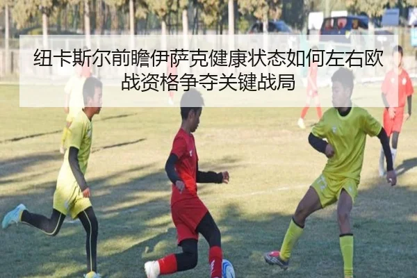 纽卡斯尔前瞻伊萨克健康状态如何左右欧战资格争夺关键战局